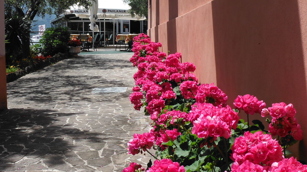 Hotel Capo Reamol